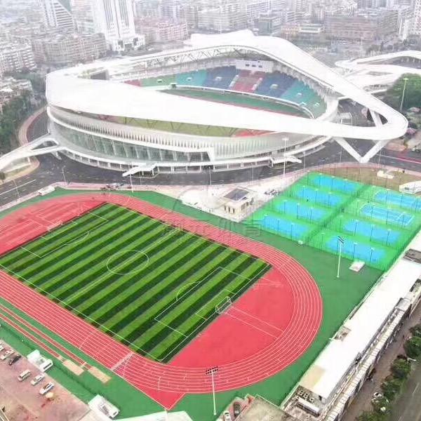 广东驰铭别墅高端庭院草坪雷国志