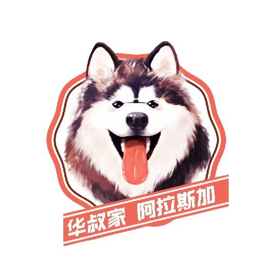Uncle 华