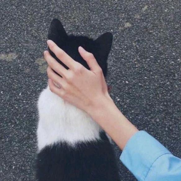 徐阿涵呀