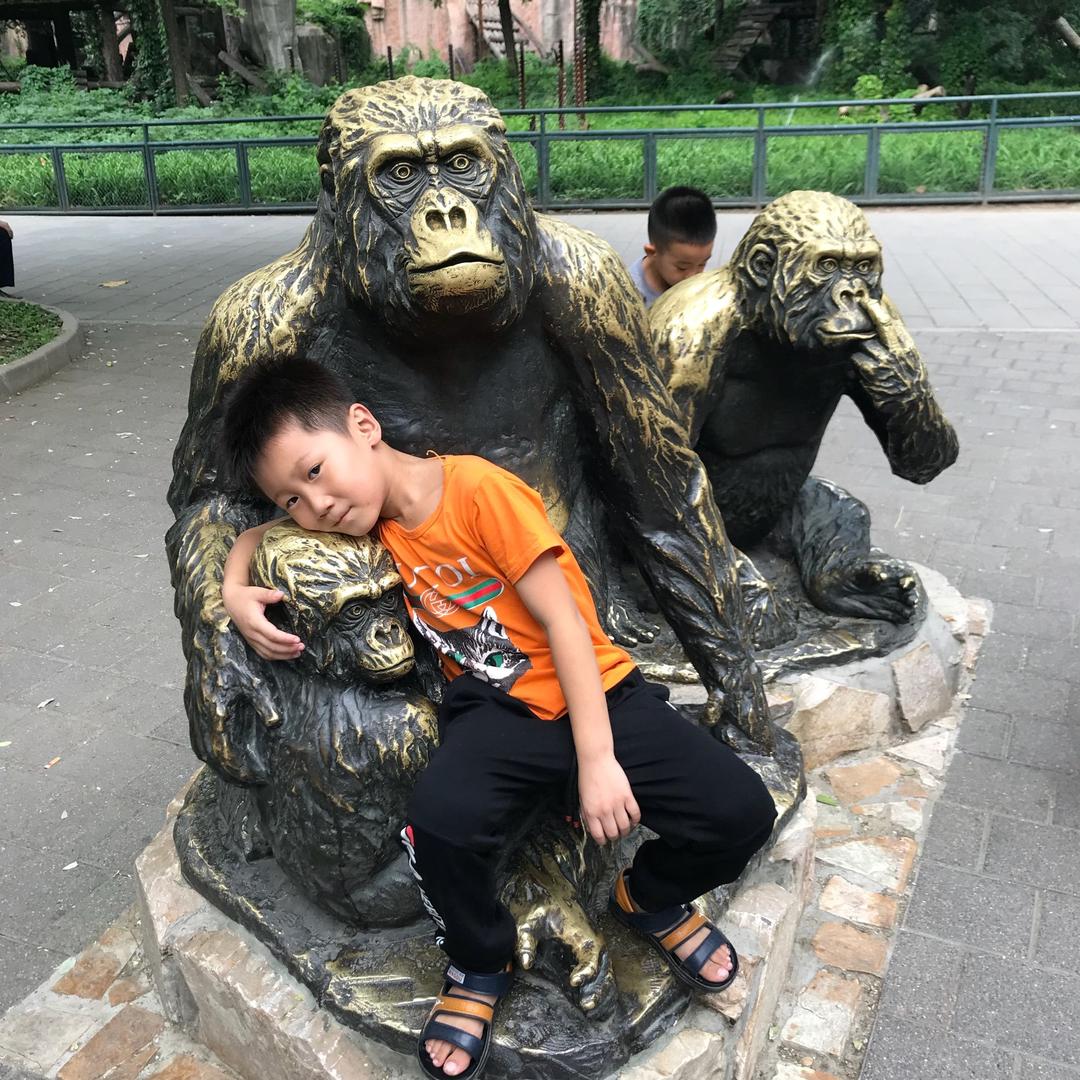 一品香特色八珍肘子