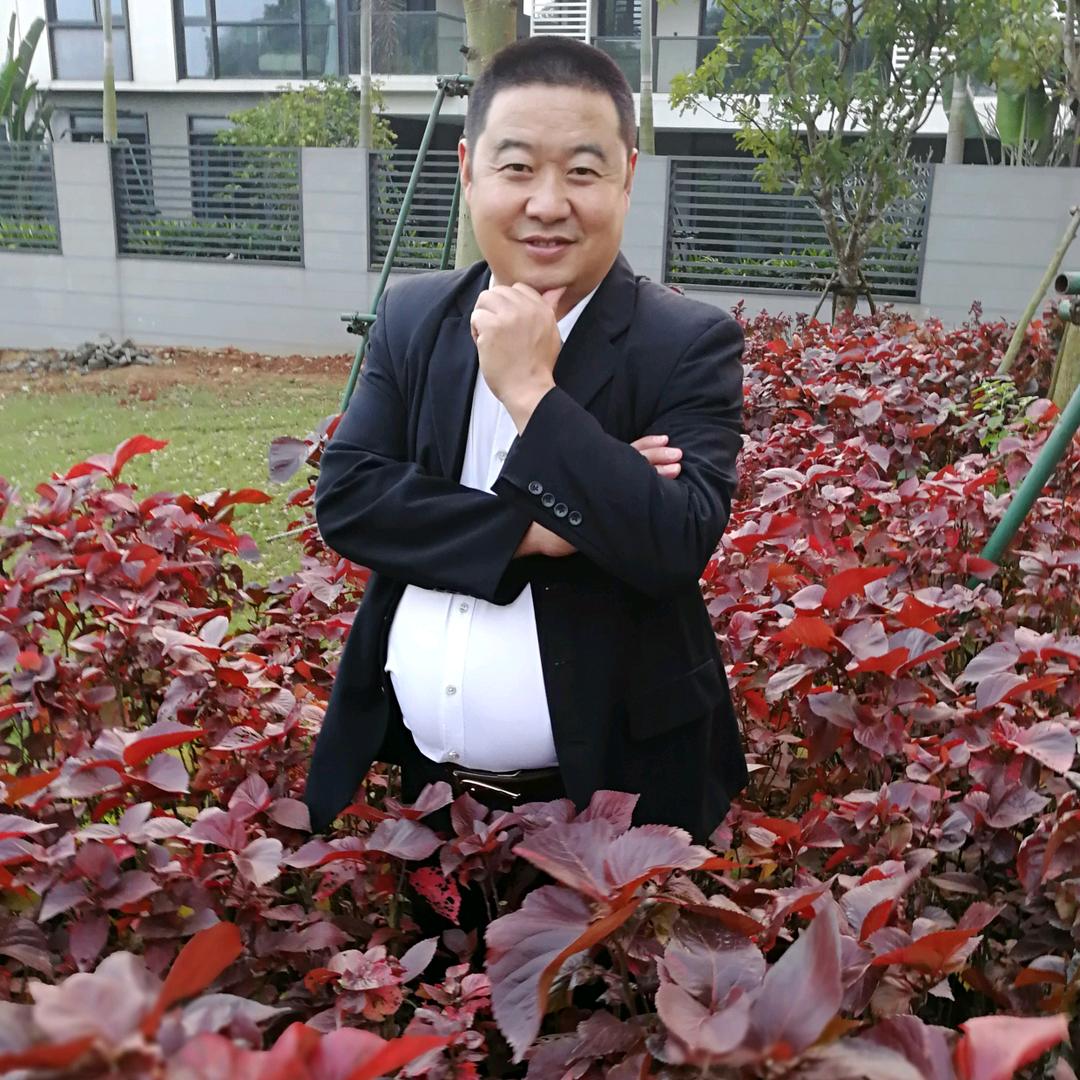 西北胖胖