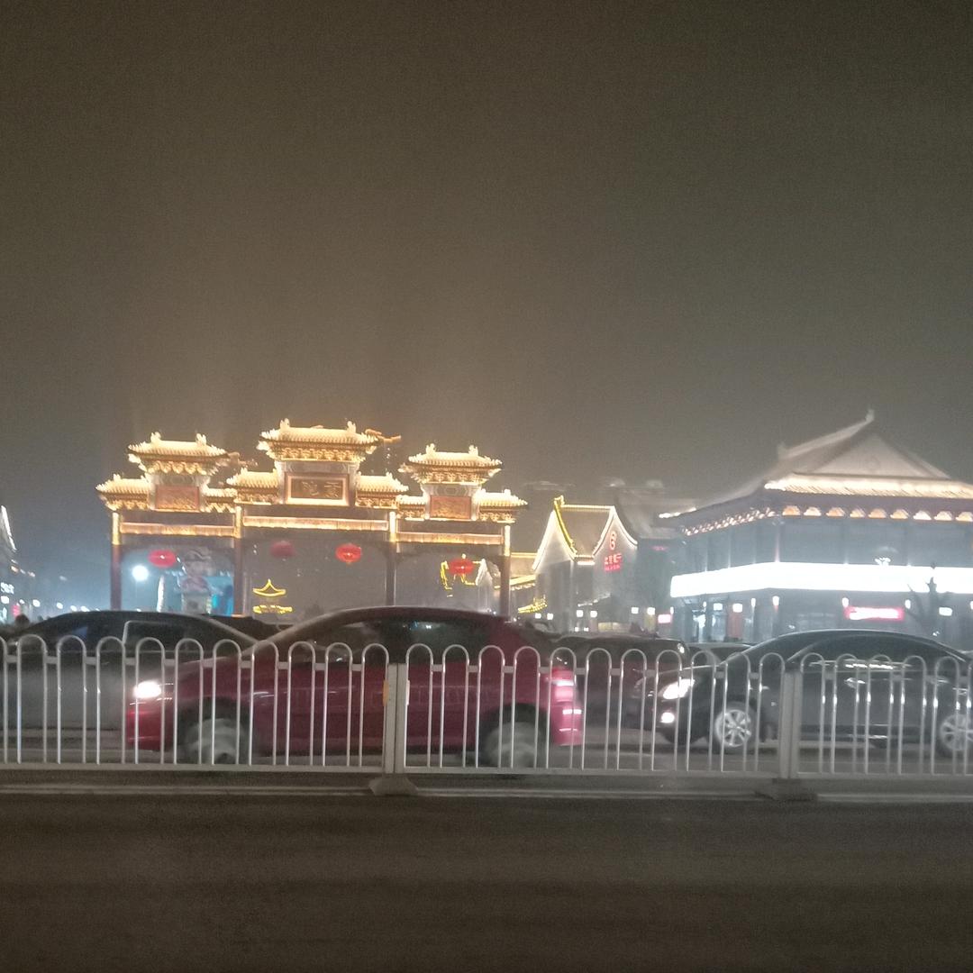 🌜树上男爵🌛