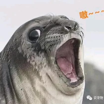 深秋的黎明
