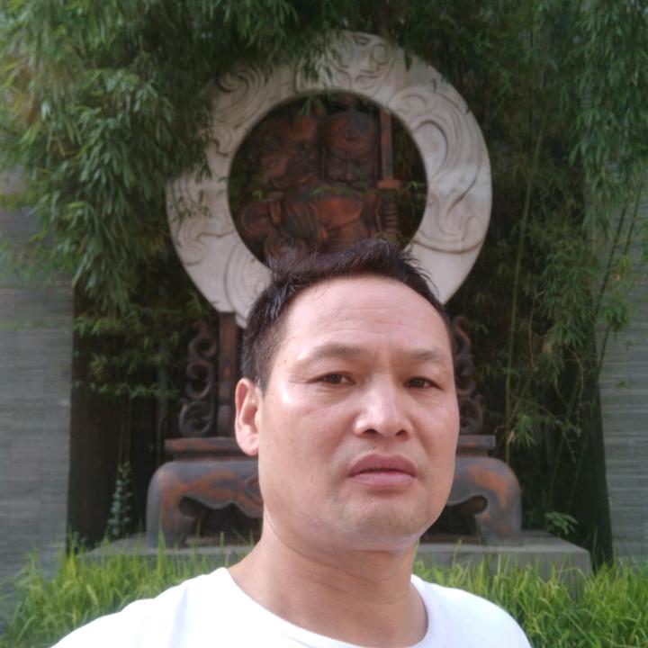 奋斗的小鸟