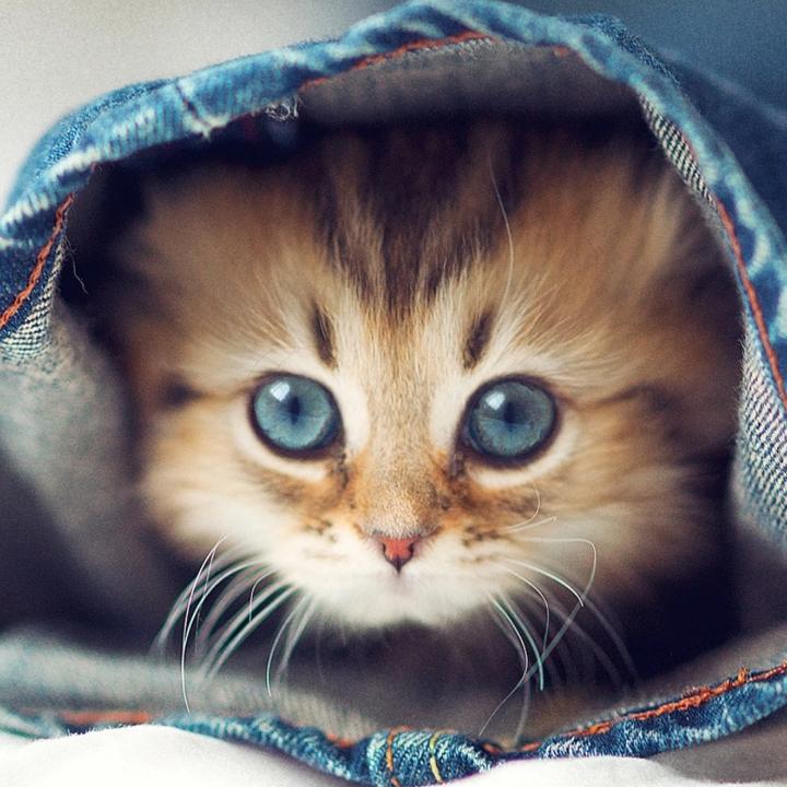 时尚优品小铺6MJ