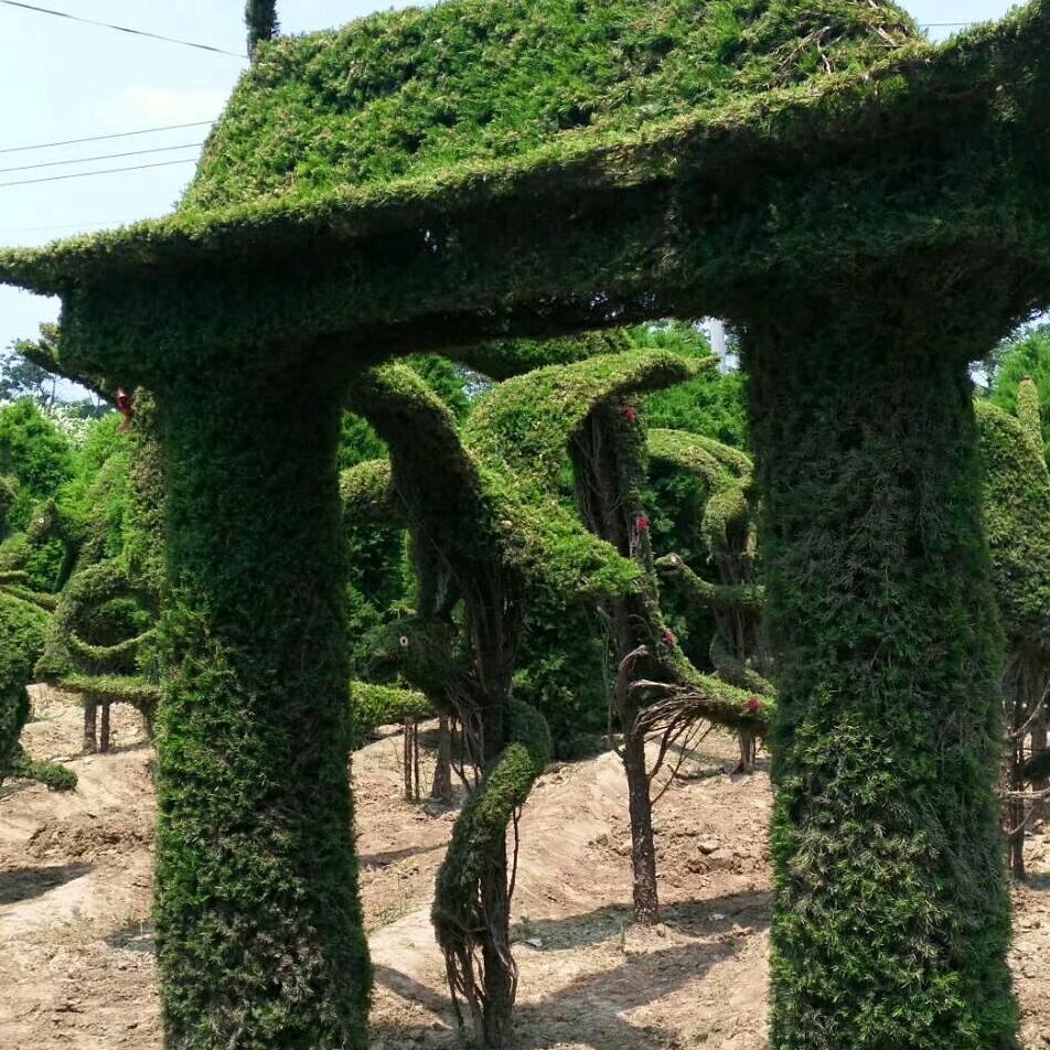 艺术造型