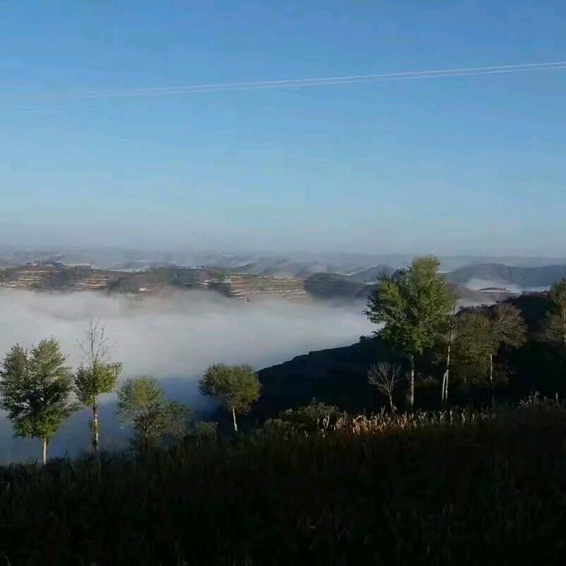 风清扬