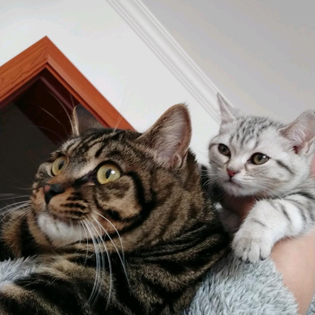 🌈孙晓青喵喵喵