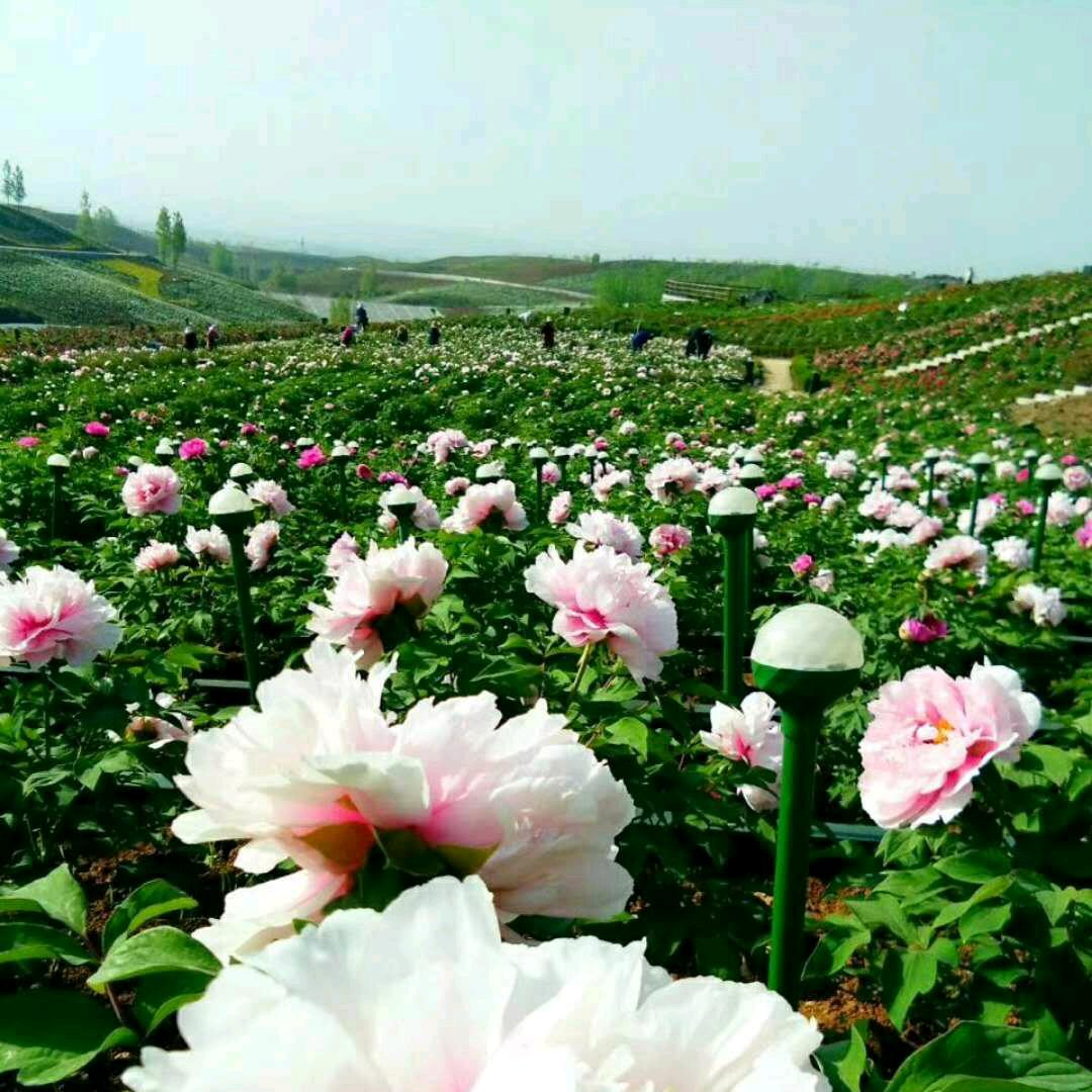 风轻云淡