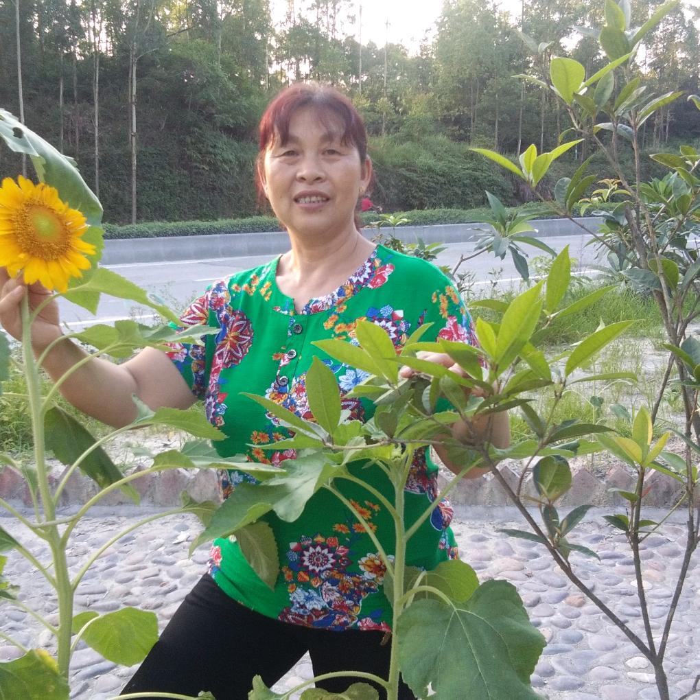 桃姐(心向阳光)