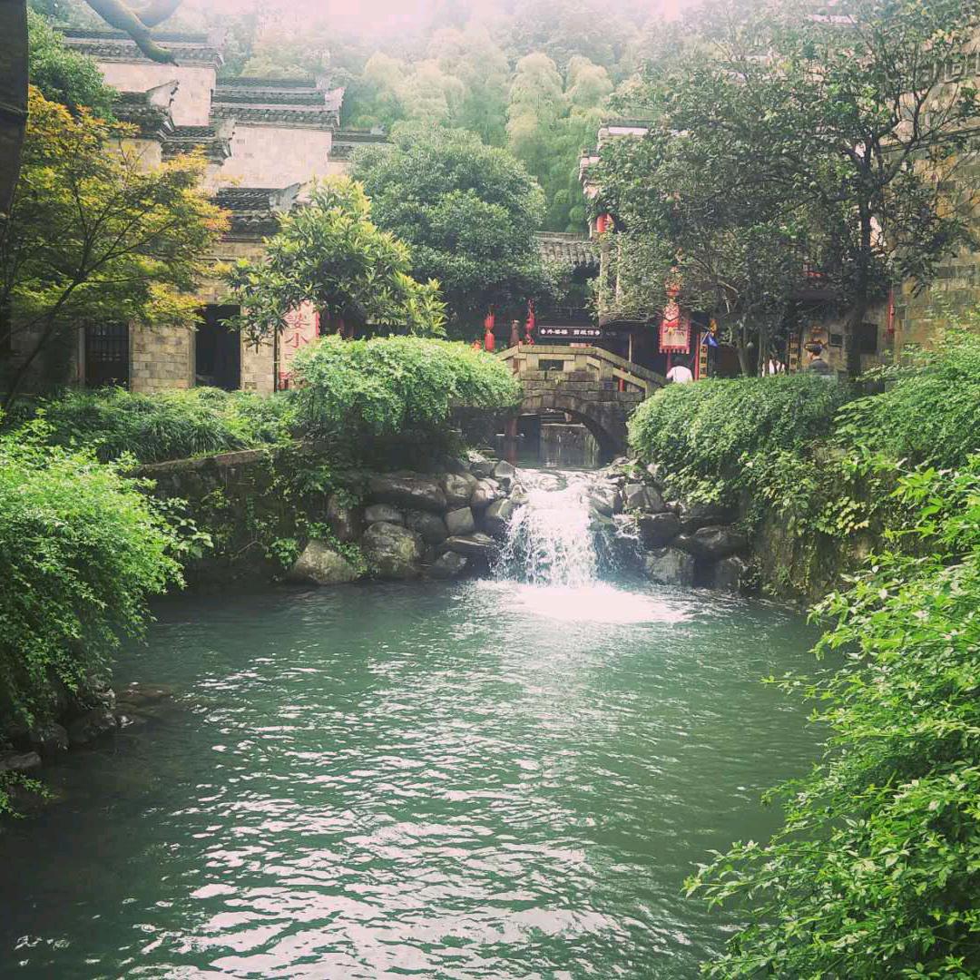 情缘一梦