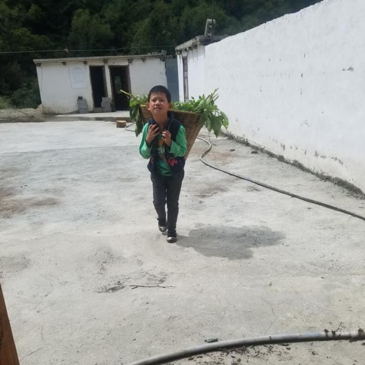 稻草人