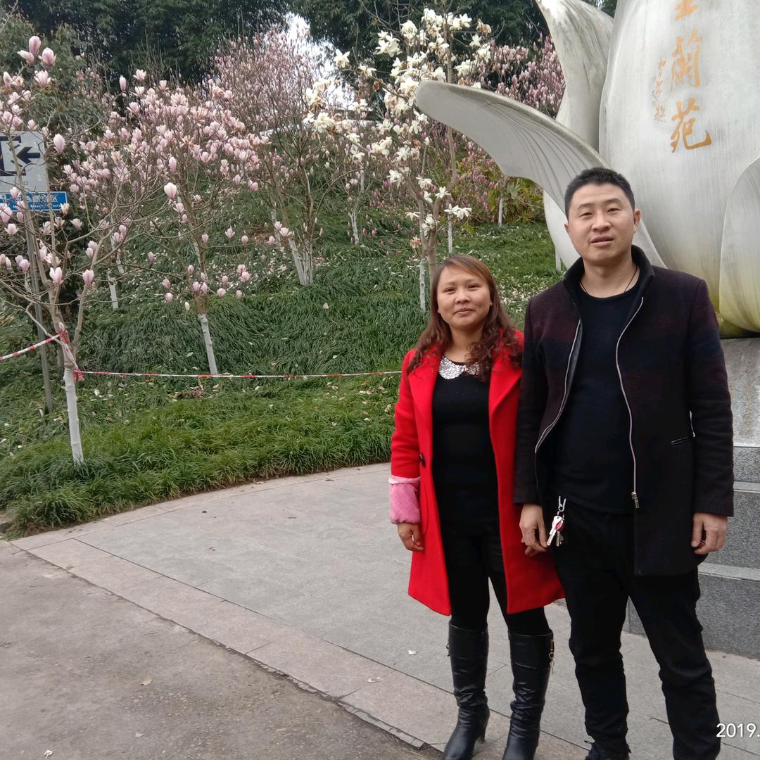 田芳，大坪博物馆