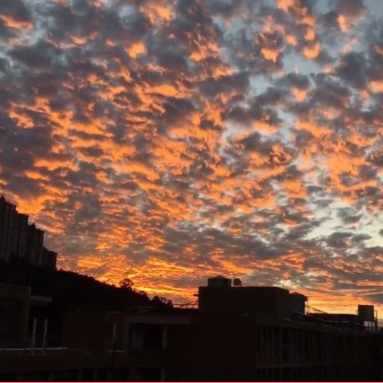 😄😄          L. x