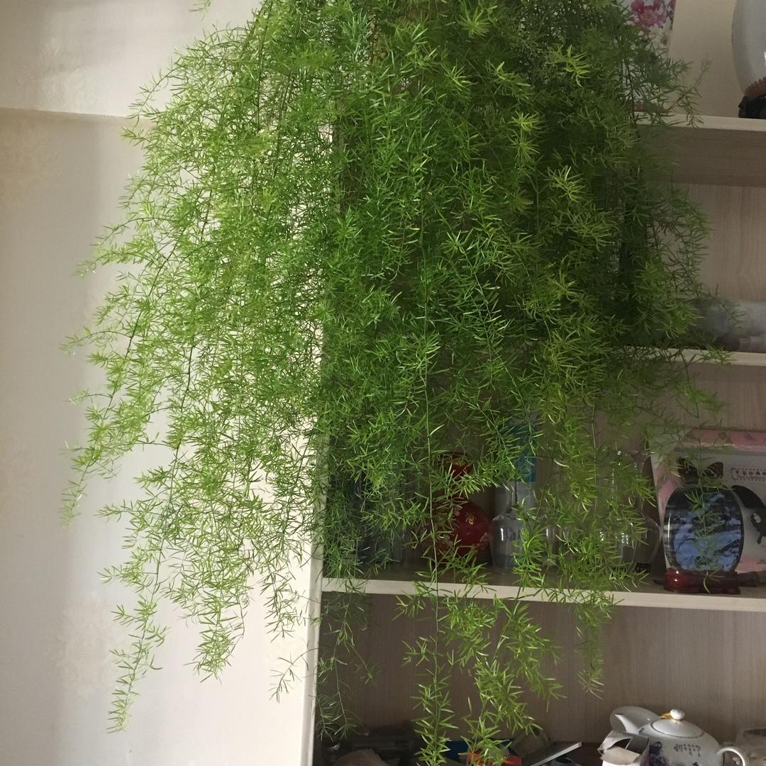 感恩