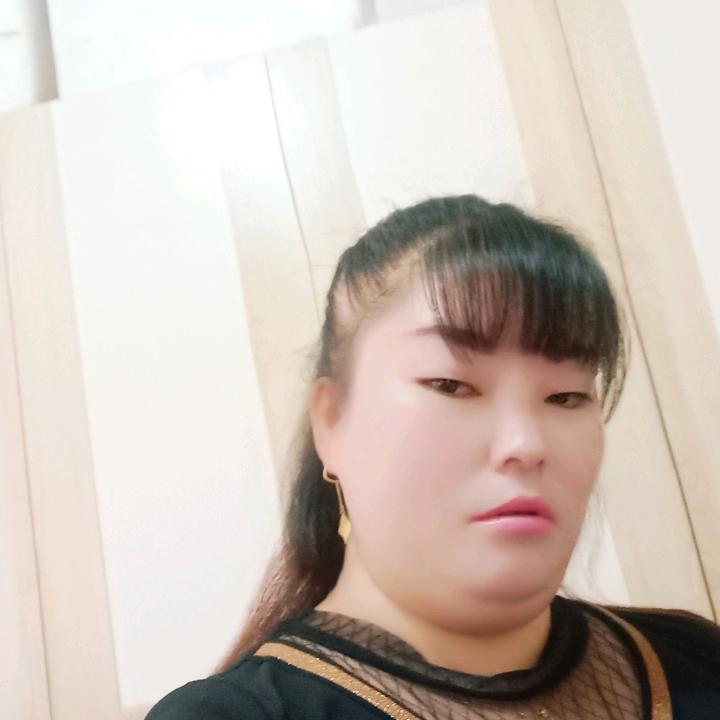 夏天的玫瑰