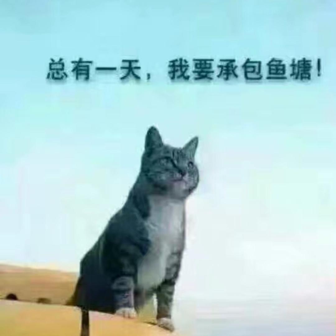 🇨🇳需求的梦想