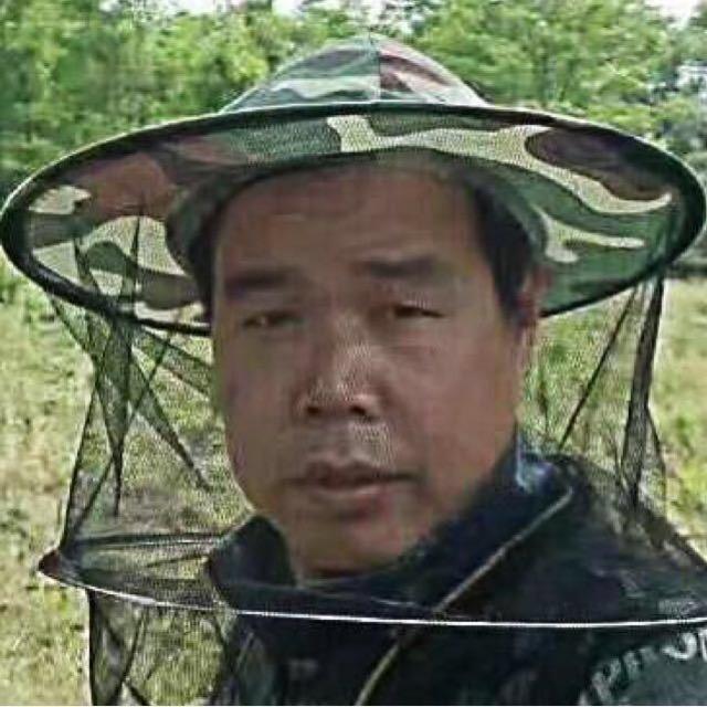 无为蜂狂
