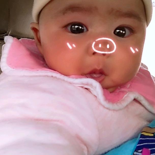 1637419680蝴蝶飞飞