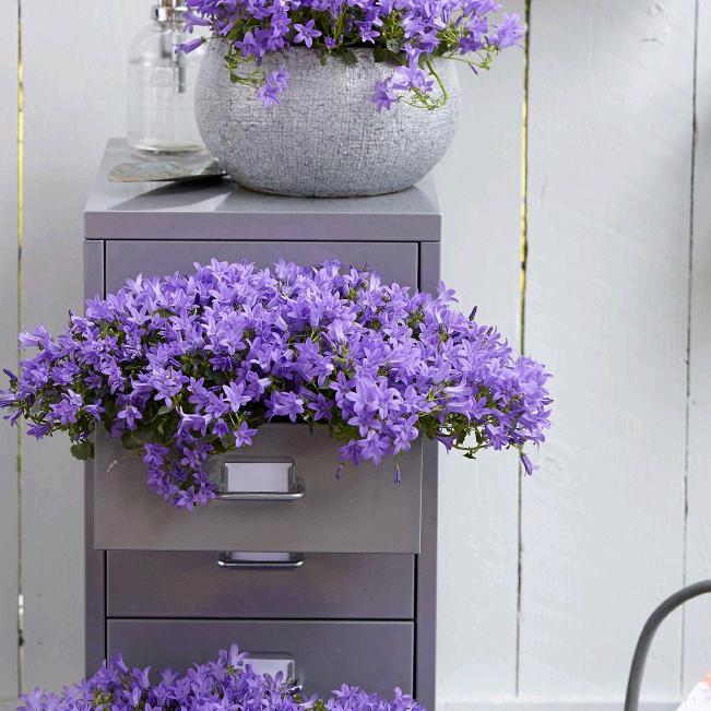 绿佳电动车(福宁集店)