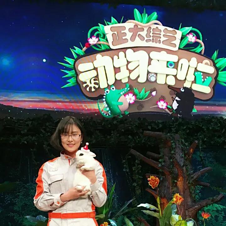 宠物兔-王小兔