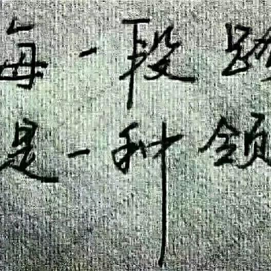 会飞的狼🐺