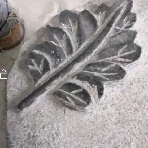 珍惜今生今世的你……