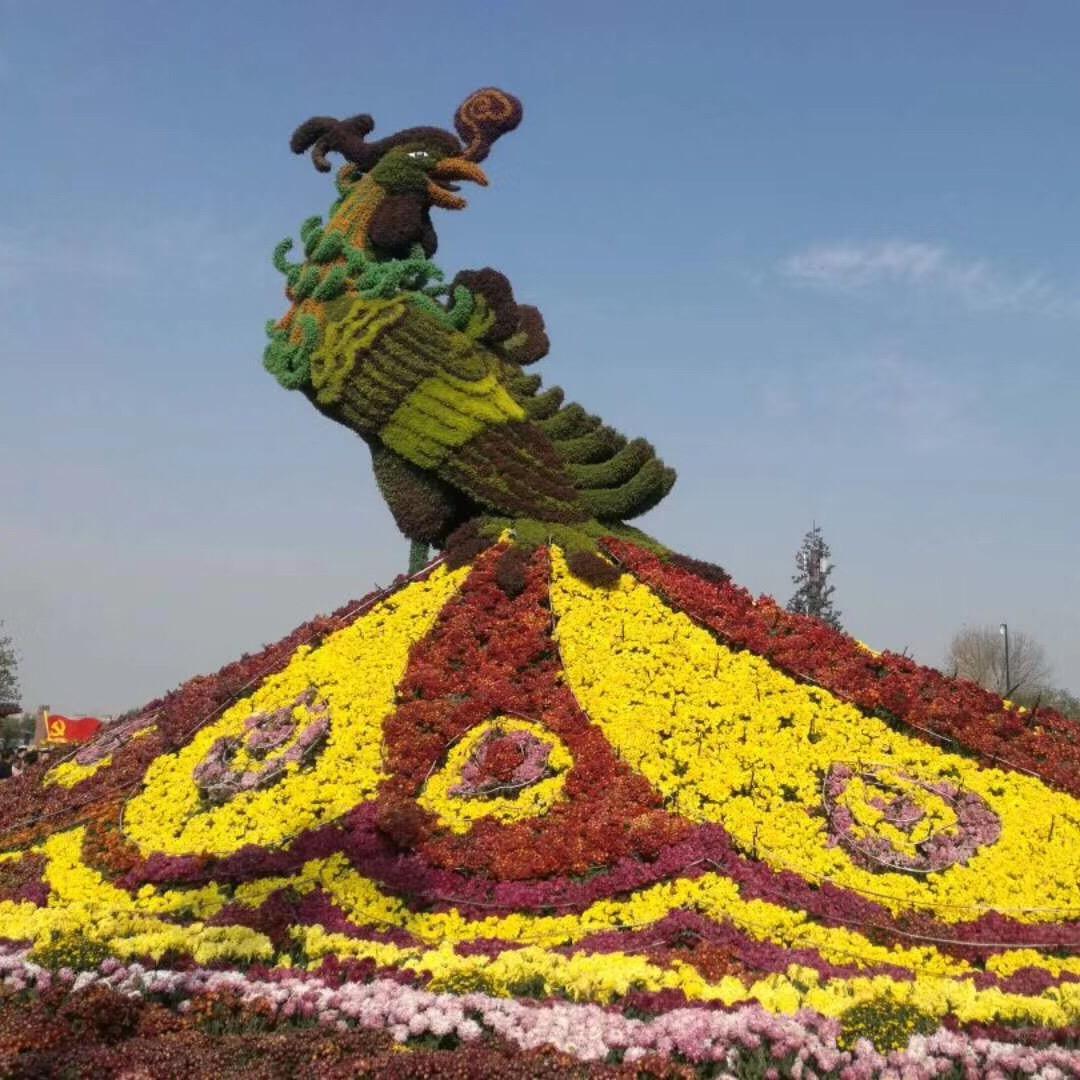 沭阳百鸟朝凤工艺品有限公司