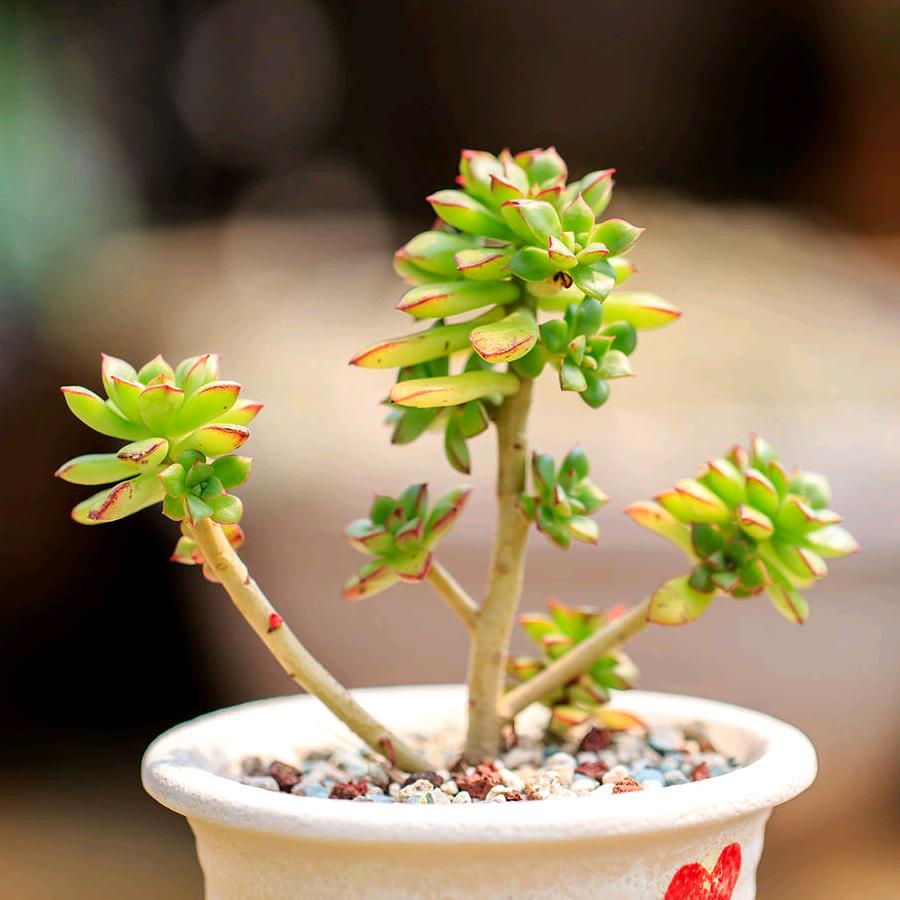 定州改水电李涛