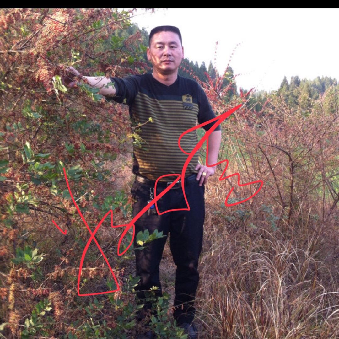回忆是思念的愁…