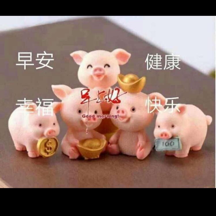 萤火虫