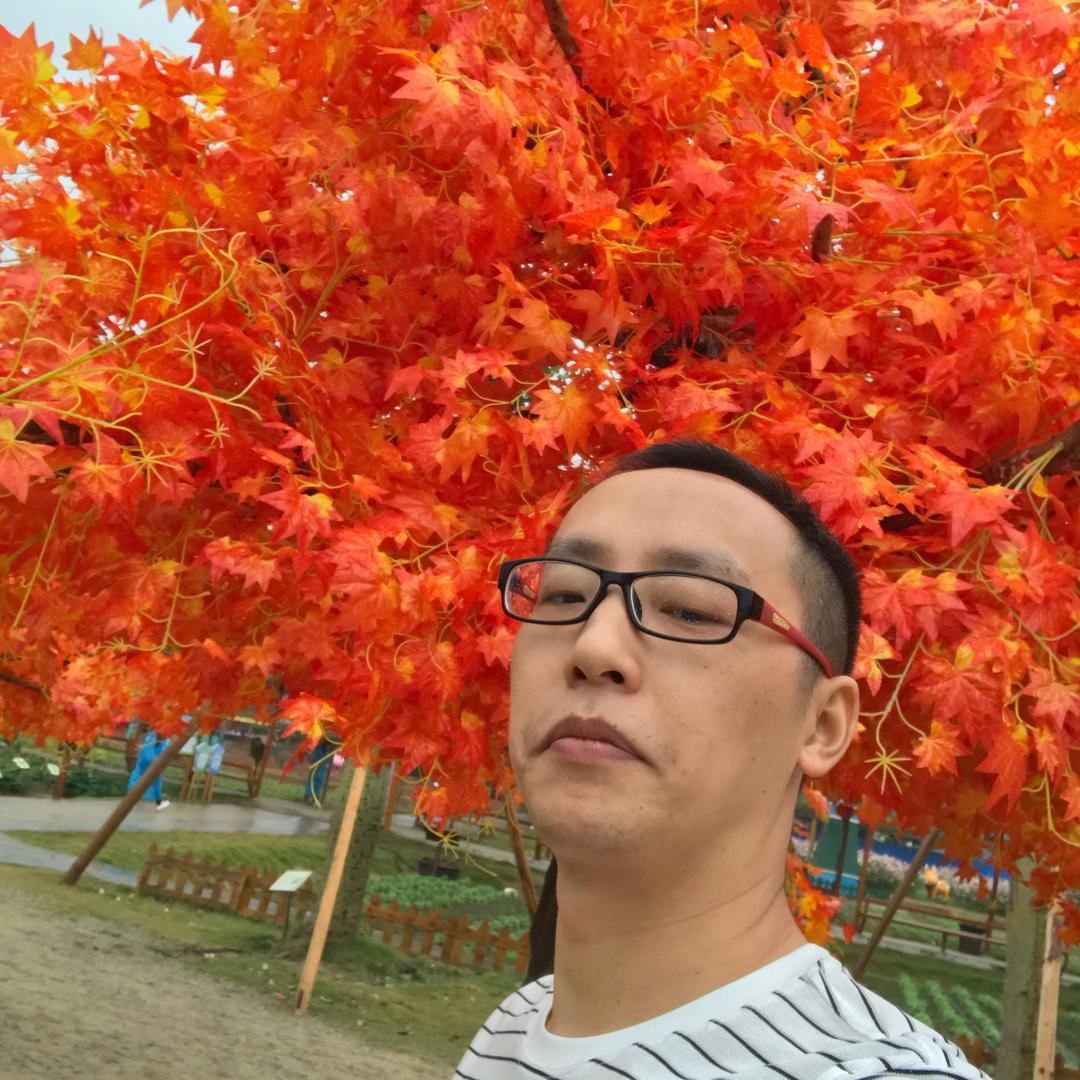 杨伦