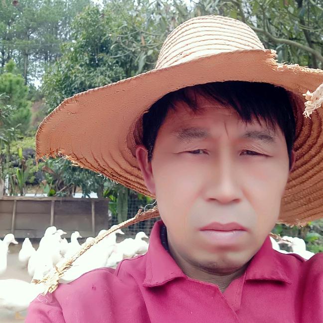 刘氏鸭业