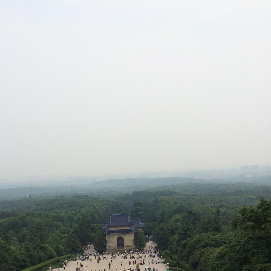 子      系