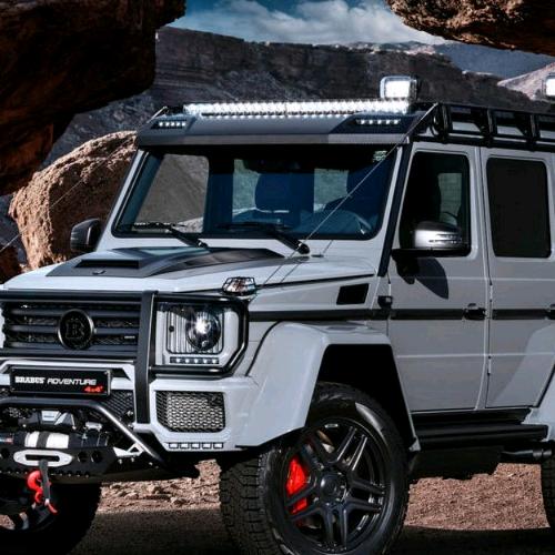 猎鹰学院-小学生