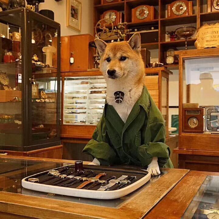 超铭穿衣搭配指南