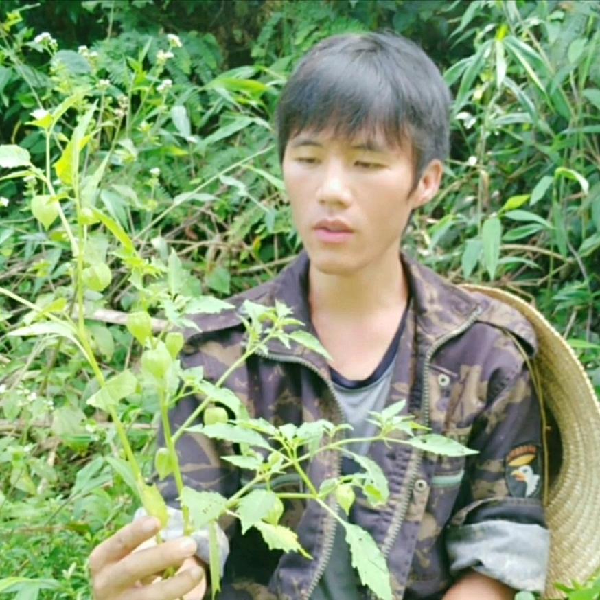李氏可春