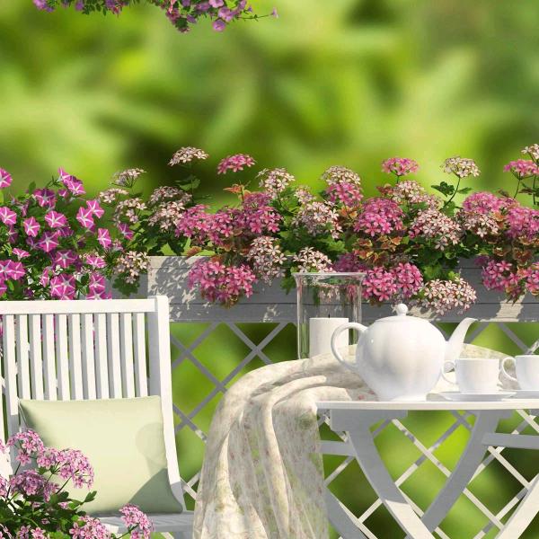 用户7366390848926笑看人生