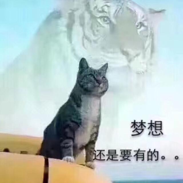 十亩地