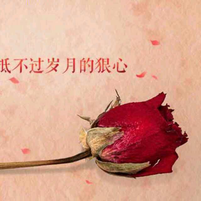 雨中漫步🐰