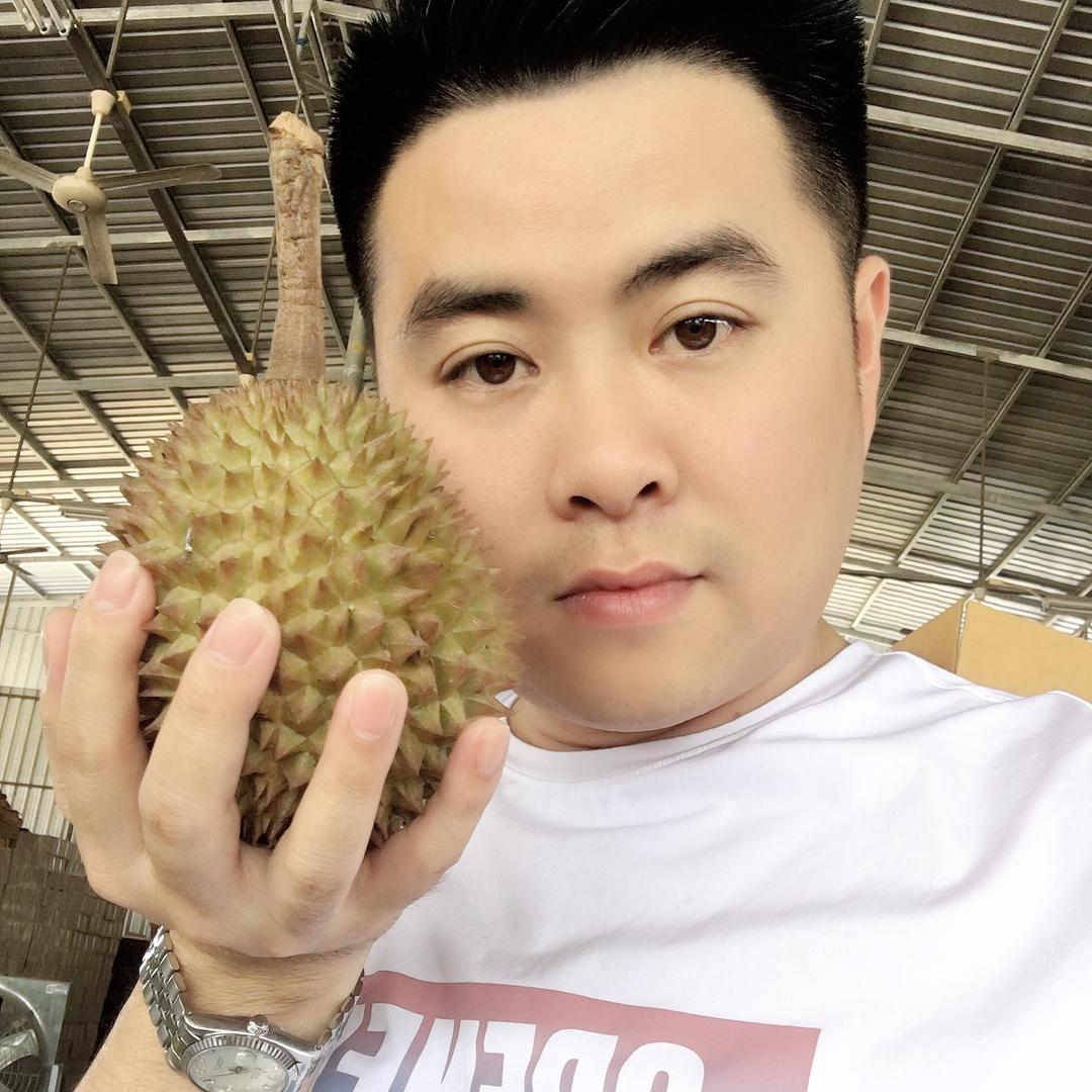 马泰莲