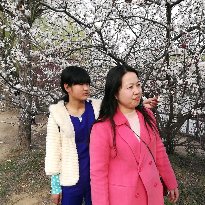 梦斩龙王李魏征