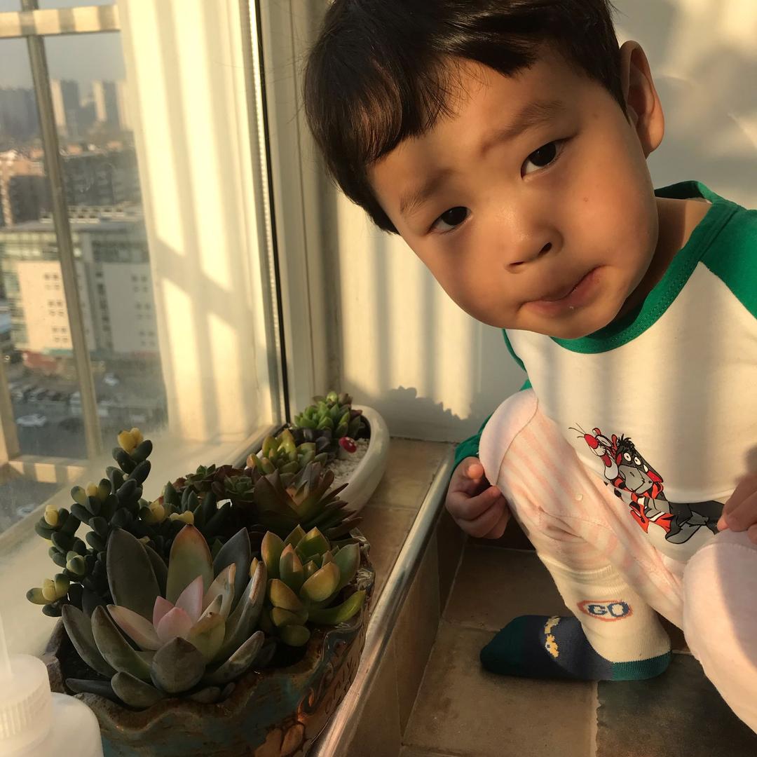 我叫嘟嘟