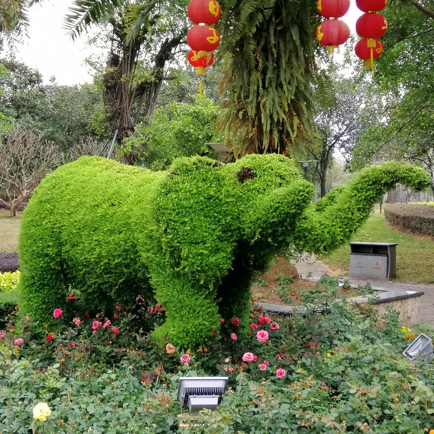 宁静的夏天