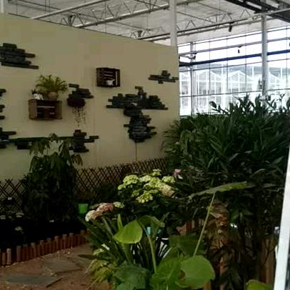 小芳厨具