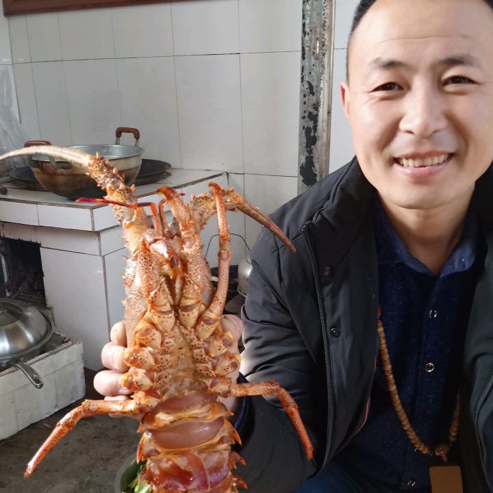 风中的一片树叶