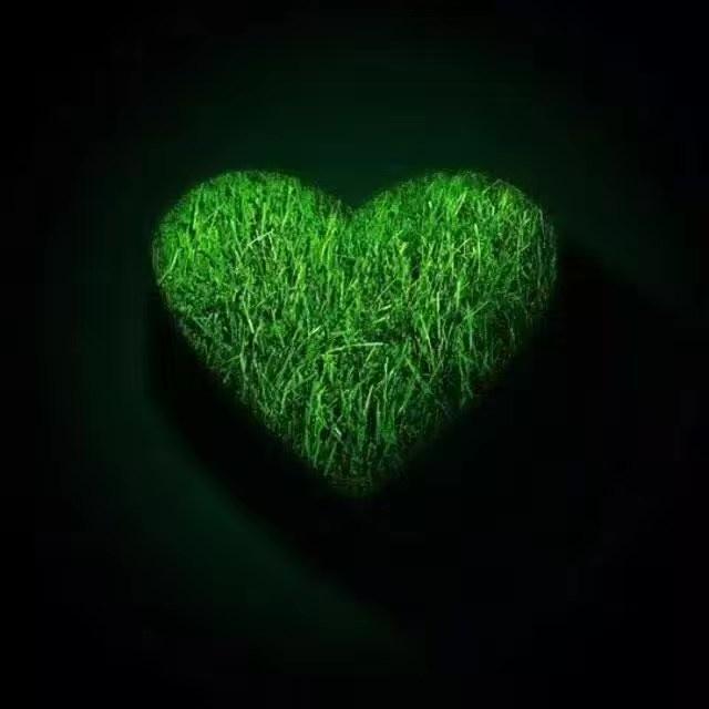 啷哩个啷哩个啷_