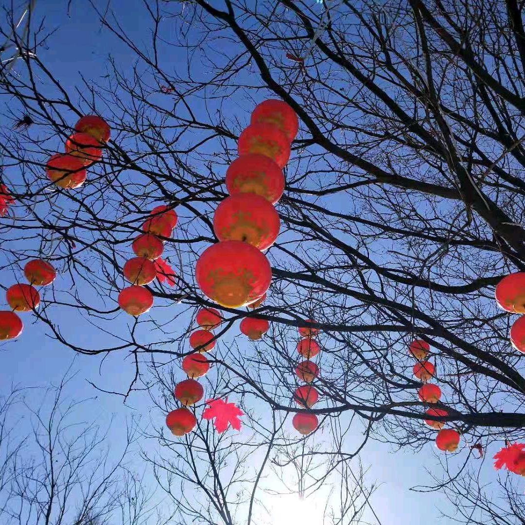 萧萧