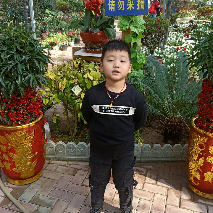 龙龙的爷爷