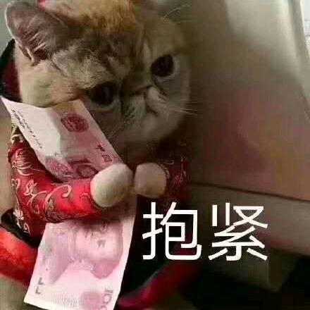 左哥某人